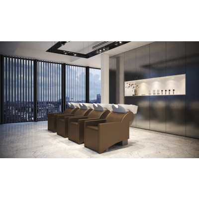 Мойка парикмахерская "WASHLOUNGE JUBILEE E"