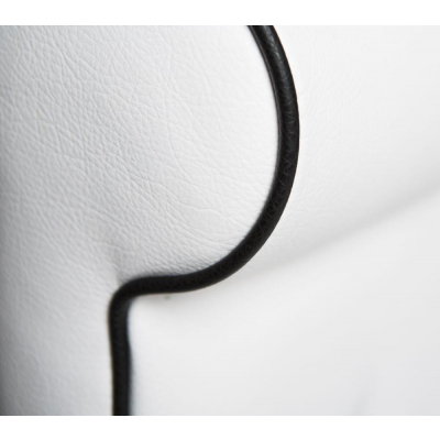 Парикмахерское кресло "CAMELIA"