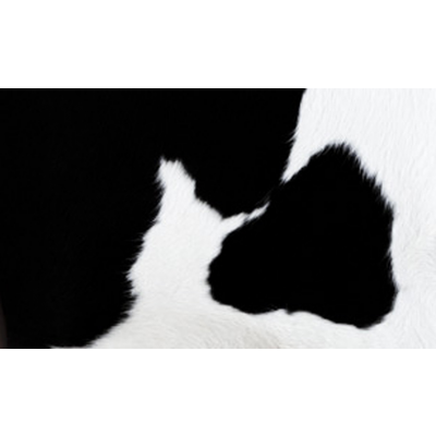 Парикмахерская мойка "Mu-Mu"