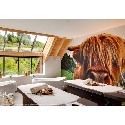 СПА кушетка "MLE"