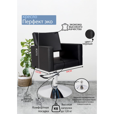 Парикмахерское кресло "Перфект ЭКО", диск