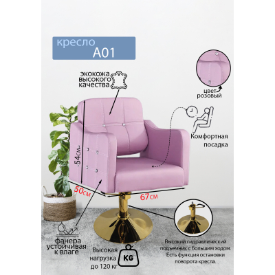 Парикмахерское кресло &quot;А01&quot;, диск золотой
